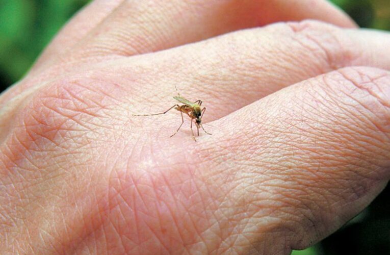 ΛΟΙΜΩΞΗ ΑΠΟ ΤΟΝ ΙΟ ΤΟΥ ΔΥΤΙΚΟΥ ΝΕΙΛΟΥ